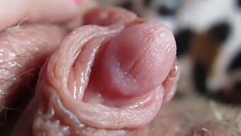 Intense Close-Up Of My Throbbing And Voluminous Clitoris Head